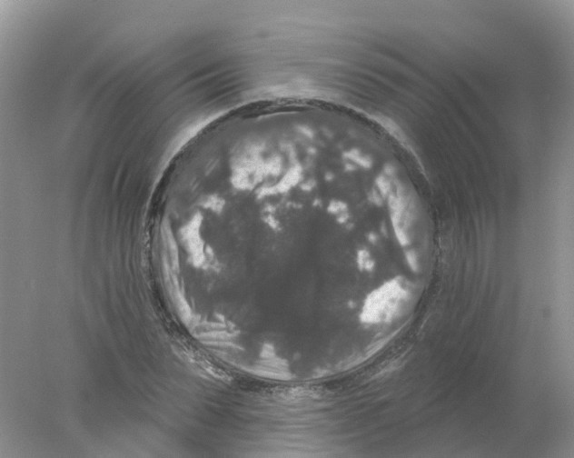 X0000078030879200611251553