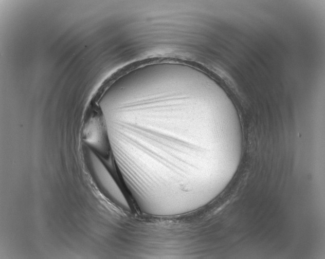 X0000078030880200611251553