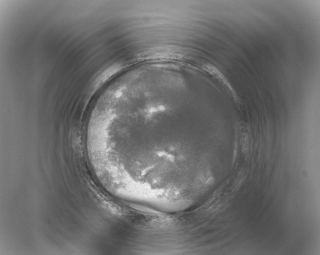 X0000078030882200611251553