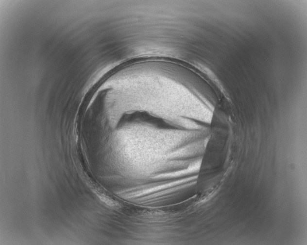 X0000078030885200611251553