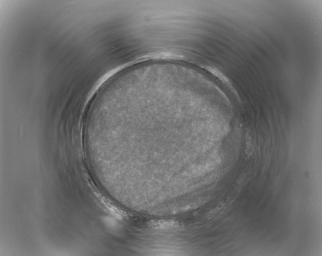 X0000078030886200611251553