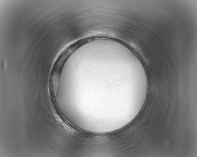 X0000078030888200611251553