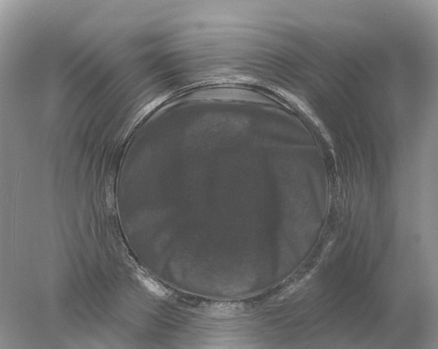 X0000078030889200611251552