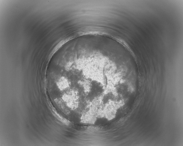 X0000078030890200611251552