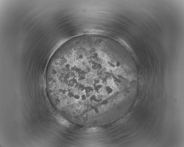 X0000078030891200611251552