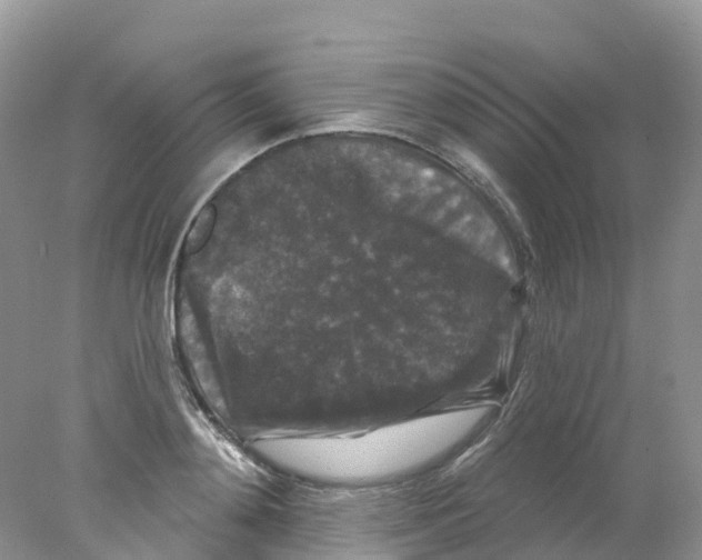 X0000078030892200611251552