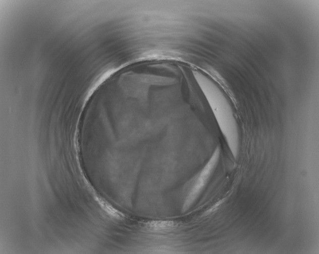 X0000078030893200611251552