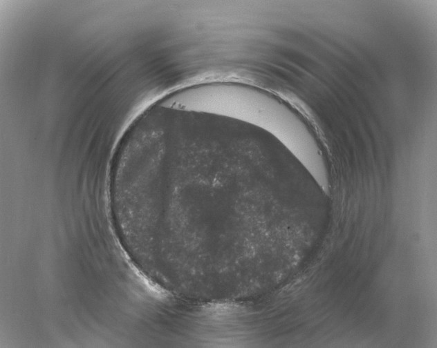 X0000078030894200611251552