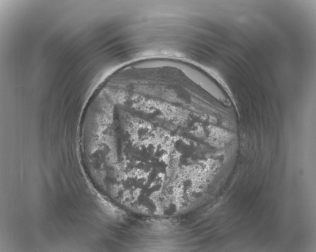 X0000078030895200611251552