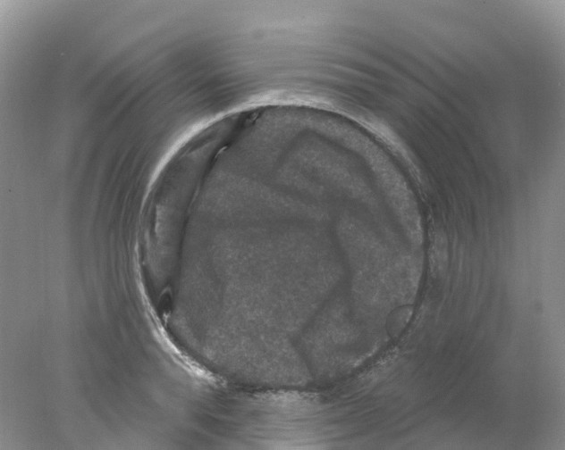 X0000078030896200611251552