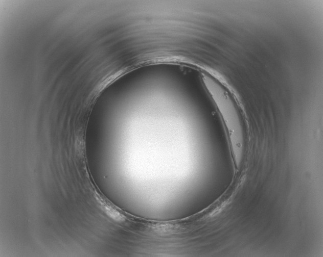 X0000078030897200611251552