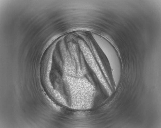 X0000078030898200611251552