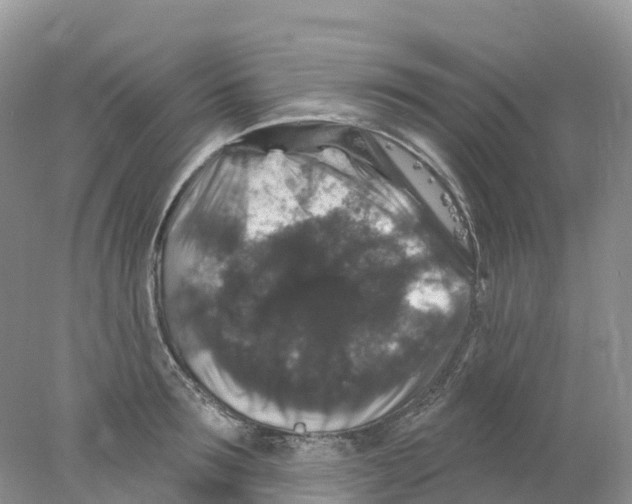 X0000078030899200611251552