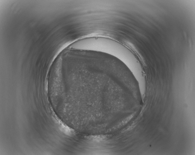 X0000078030900200611251552