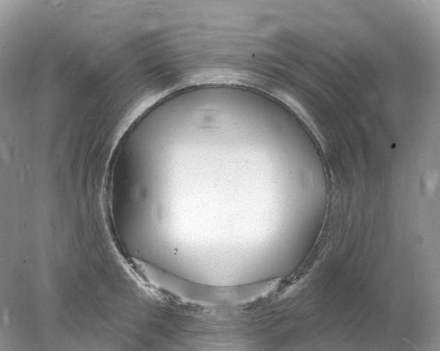 X0000078030901200611251552