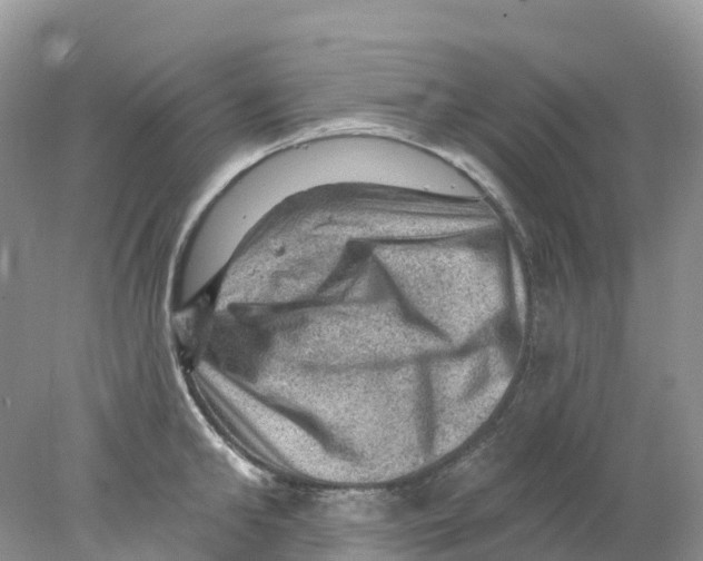 X0000078030902200611251552