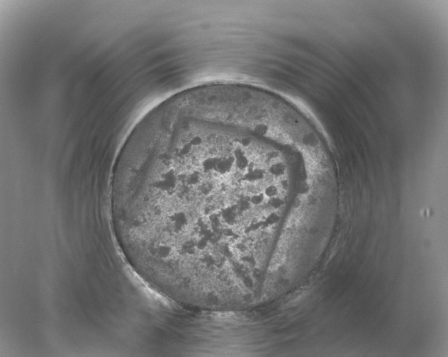 X0000078030903200611251552