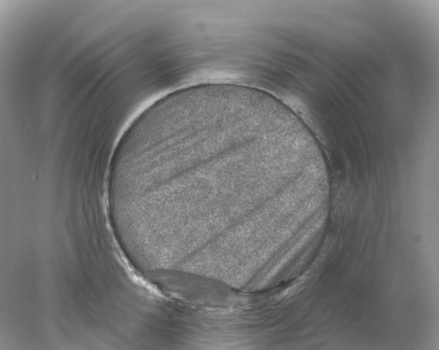 X0000078030904200611251552