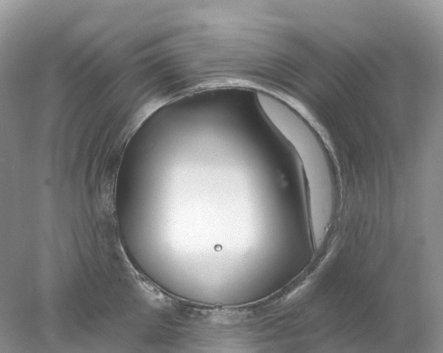 X0000078030905200611251552