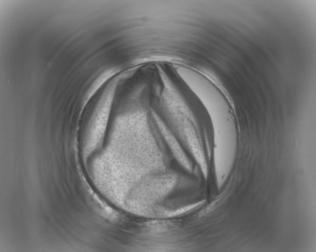 X0000078030906200611251552