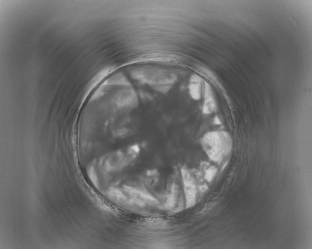 X0000078030907200611251552