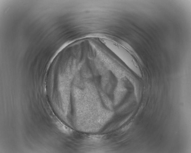 X0000078030908200611251552