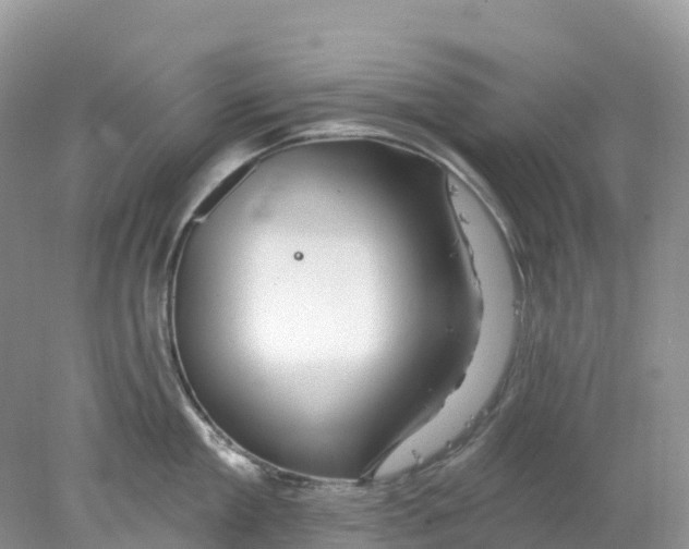 X0000078030909200611251552