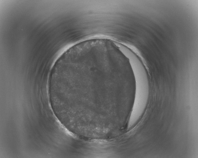 X0000078030910200611251552