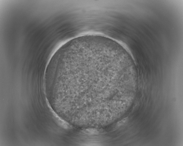 X0000078030911200611251552