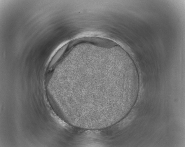 X0000078030912200611251552