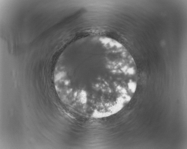 X0000078030913200611251551