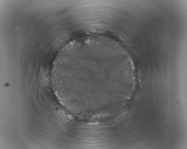 X0000078030915200611251551