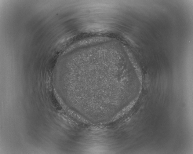 X0000078030917200611251551