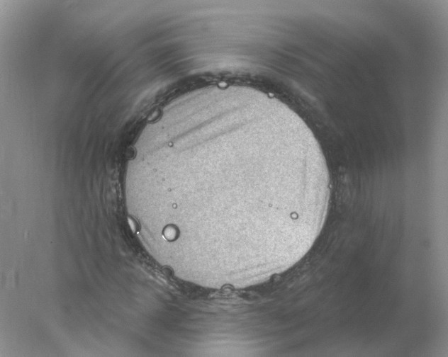 X0000078030918200611251551