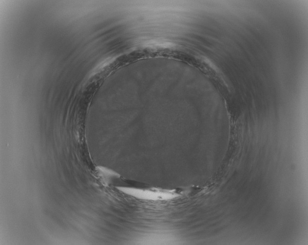 X0000078030919200611251551