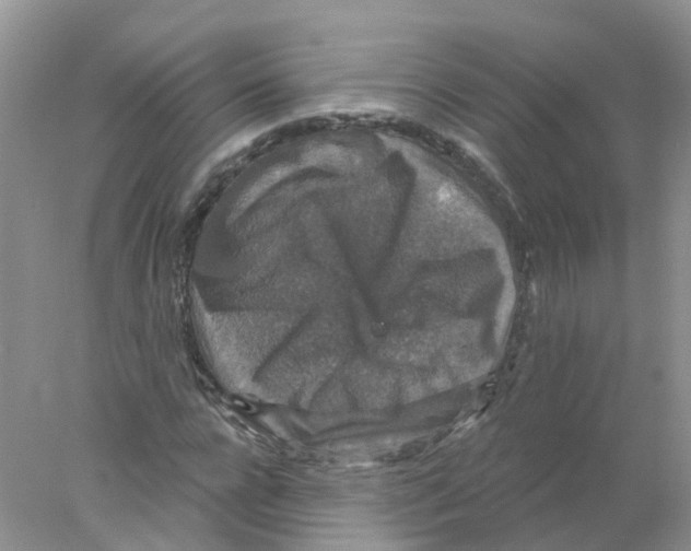 X0000078030920200611251551