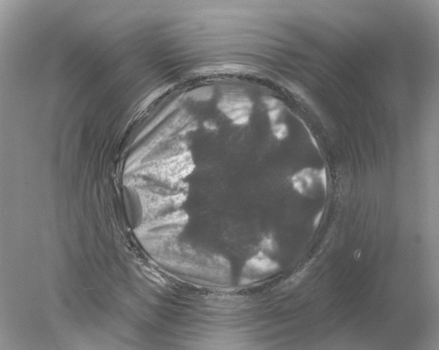 X0000078030921200611251551