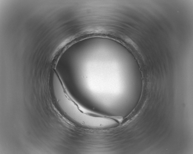 X0000078030922200611251551