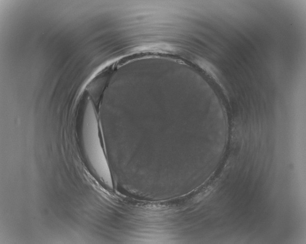 X0000078030923200611251551