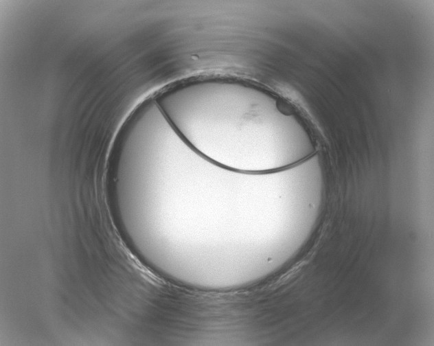 X0000078030924200611251551