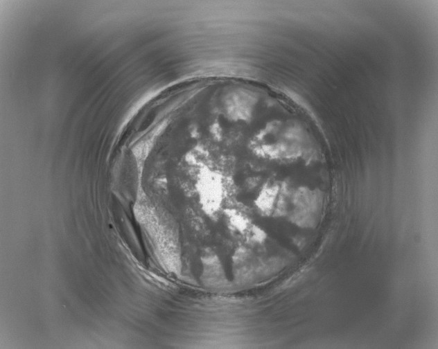 X0000078030925200611251552