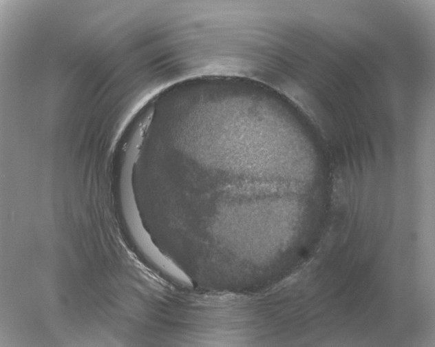 X0000078030926200611251552