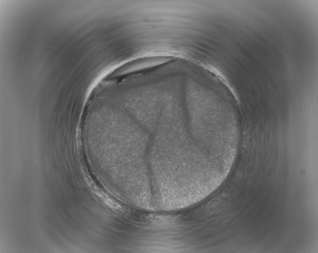 X0000078030928200611251552