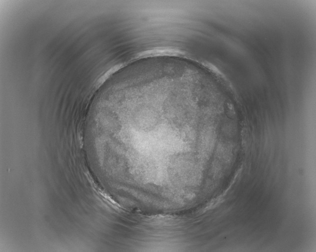 X0000078030929200611251552