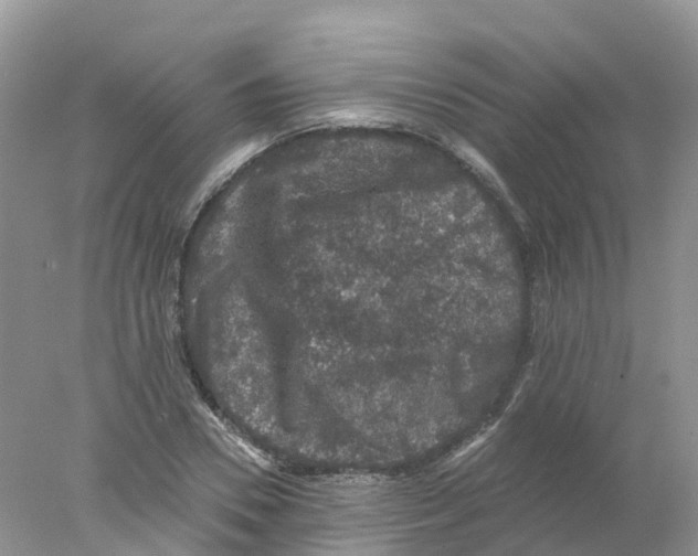 X0000078030930200611251552