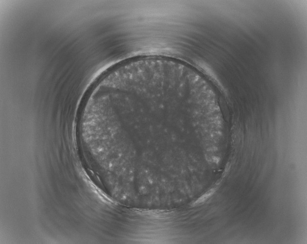 X0000078030932200611251552