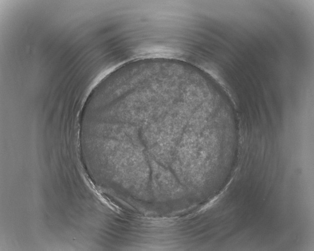 X0000078030933200611251552