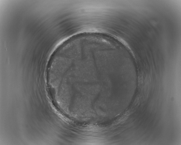 X0000078030935200611251552