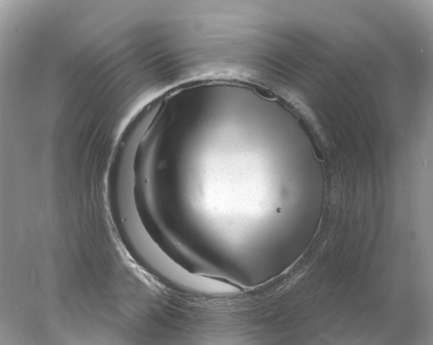 X0000078030936200611251552