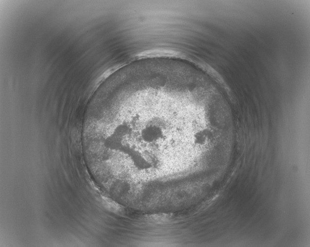 X0000078030937200611251552